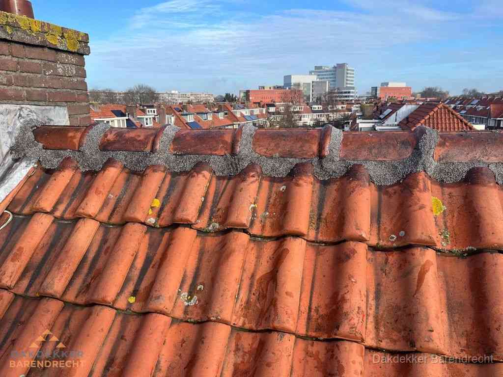 Barendrecht Daken Renoveren