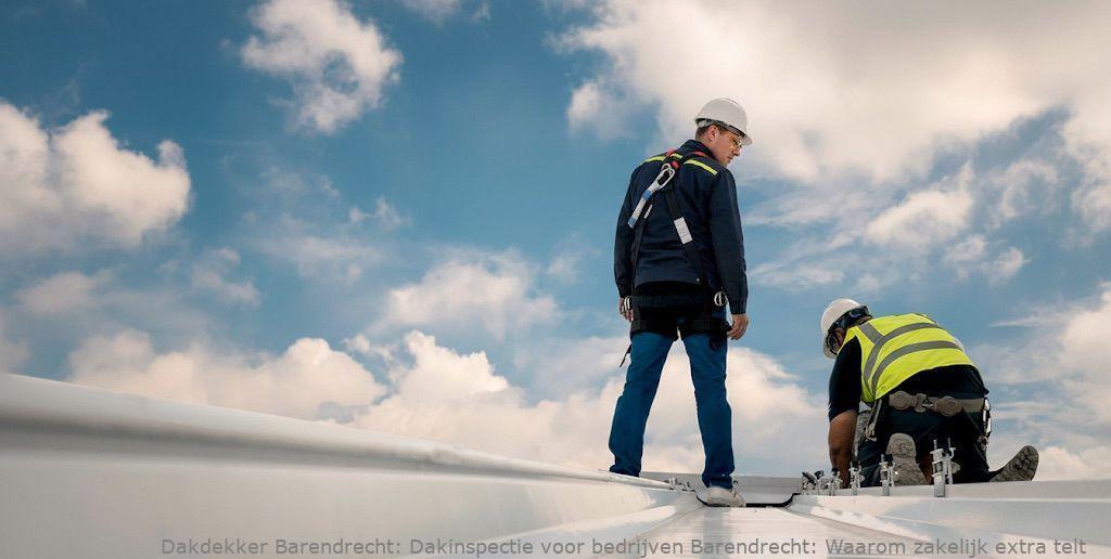 Dakinspectie Voor Bedrijven Barendrecht