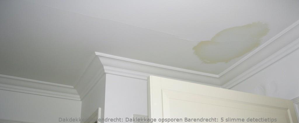 Daklekkage Opsporen Barendrecht 1