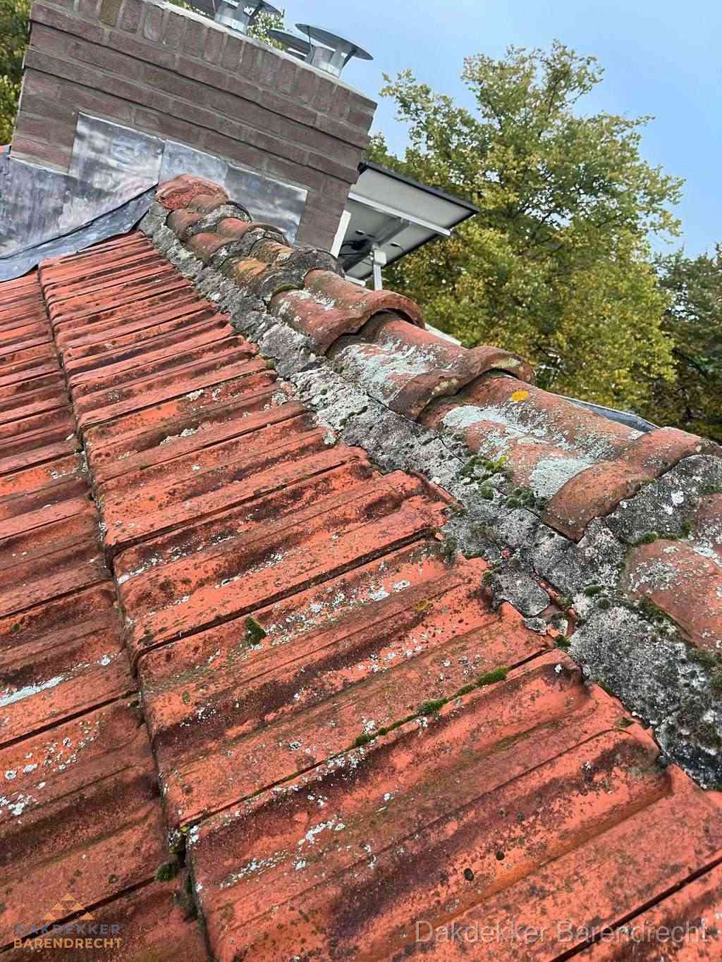 Renovatie Hellend Dak Barendrecht