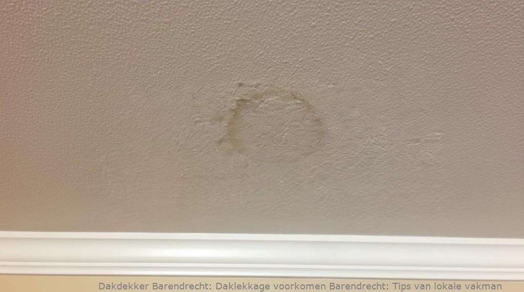 Voorkomen Daklekkage Barendrecht
