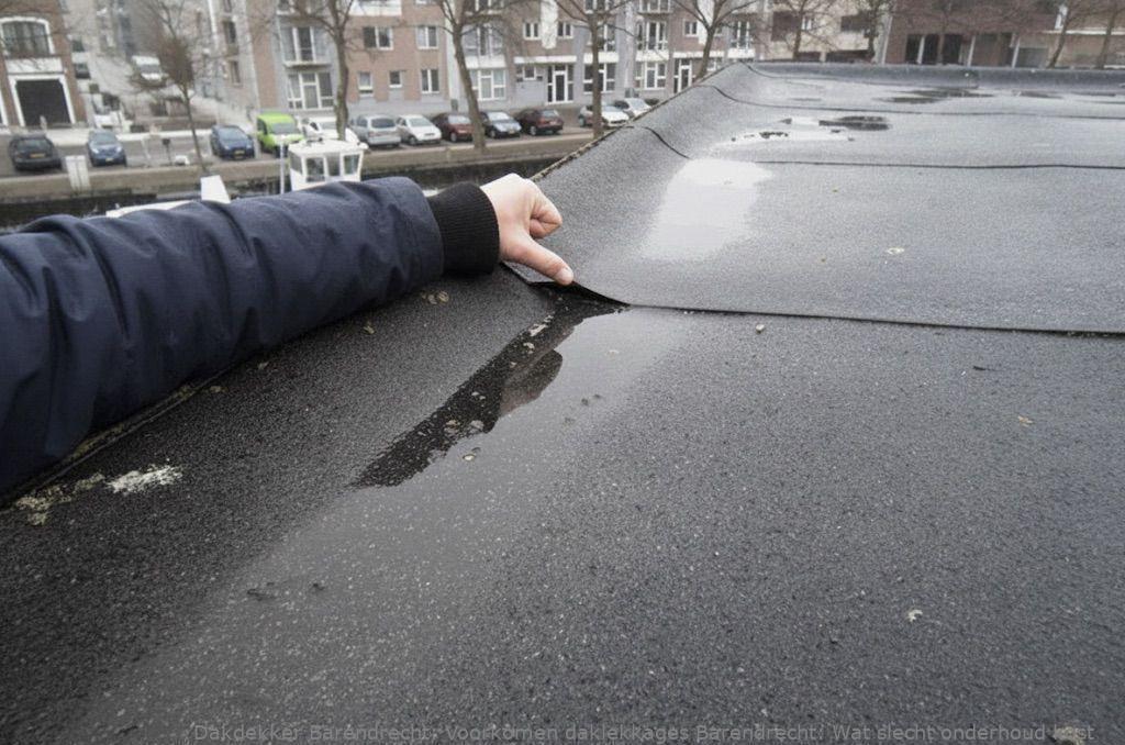 Voorkomen Daklekkages Barendrecht